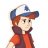 Dipper