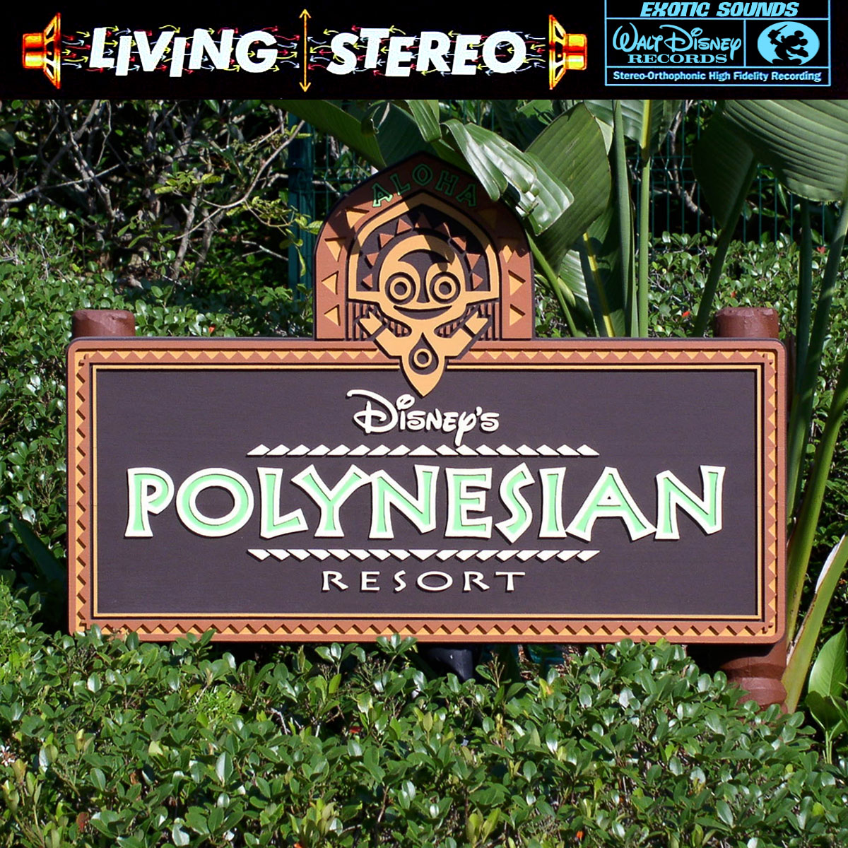 Polynesian Resort Album Art CLEAN